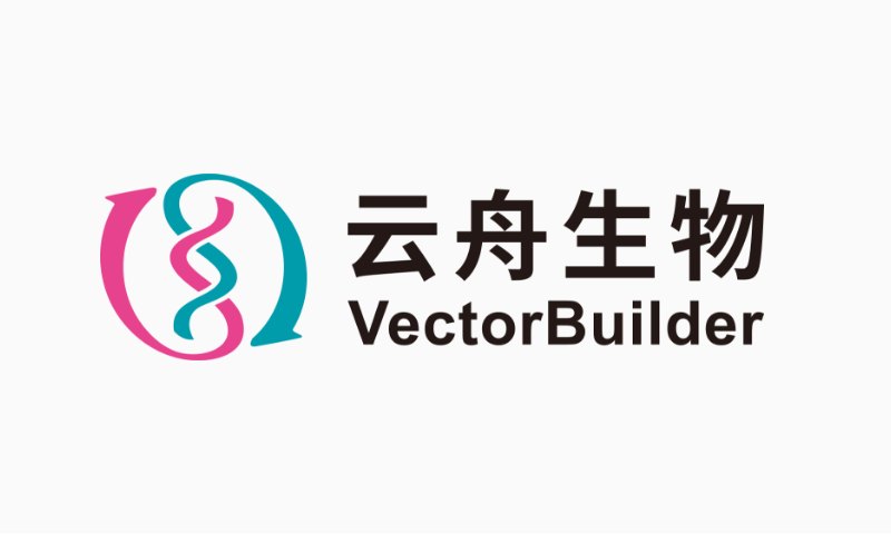 vectorbuilder_logo_en.png