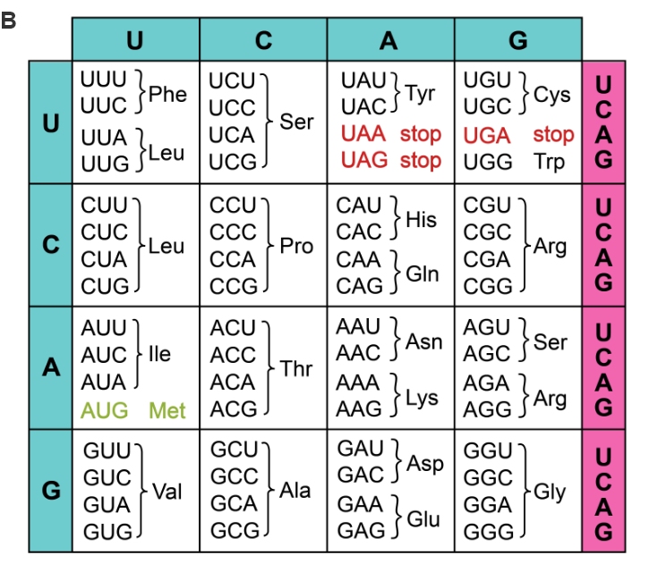 Figure1B