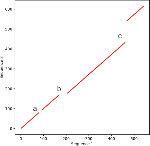 Sequence with mutations and indels.